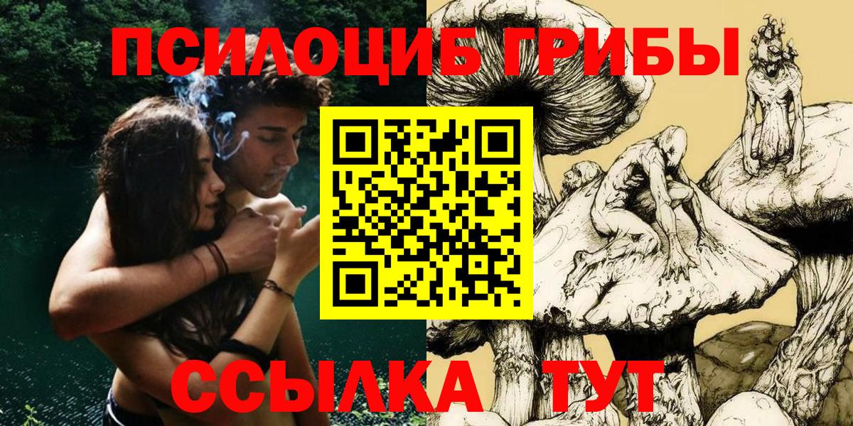 Псилоцибиновые грибы Psilocybe  Псилоцибиновые грибы прущие грибы  купить наркоту  Нарткала  Вход с VPN 